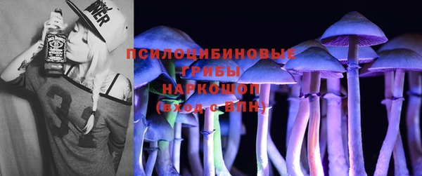 сатива Волоколамск