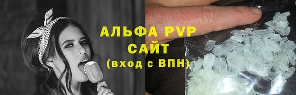 сатива Волоколамск