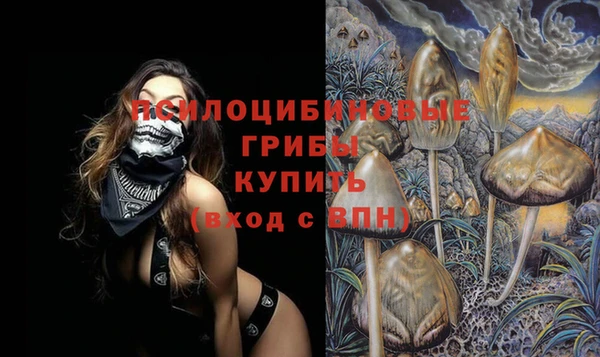 соль ск Верея