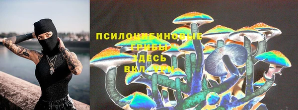 соль ск Верея