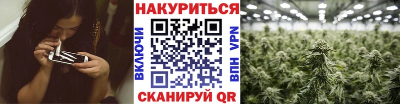 OMG ссылка  наркошоп  Пушкино  Бошки марихуана планчик 